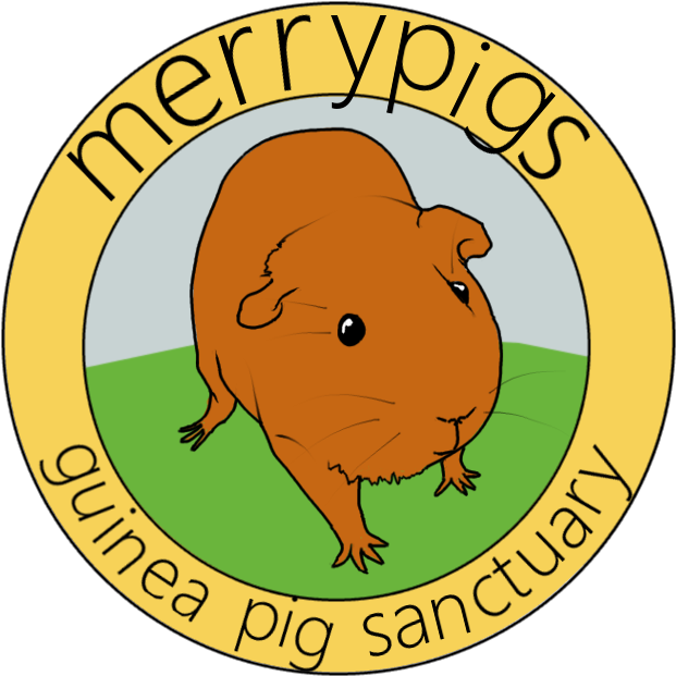 A Small Guinea Pig Sanctuary Run In Staffordshire, - Federal Election Campaign Act 1974 (640x640)