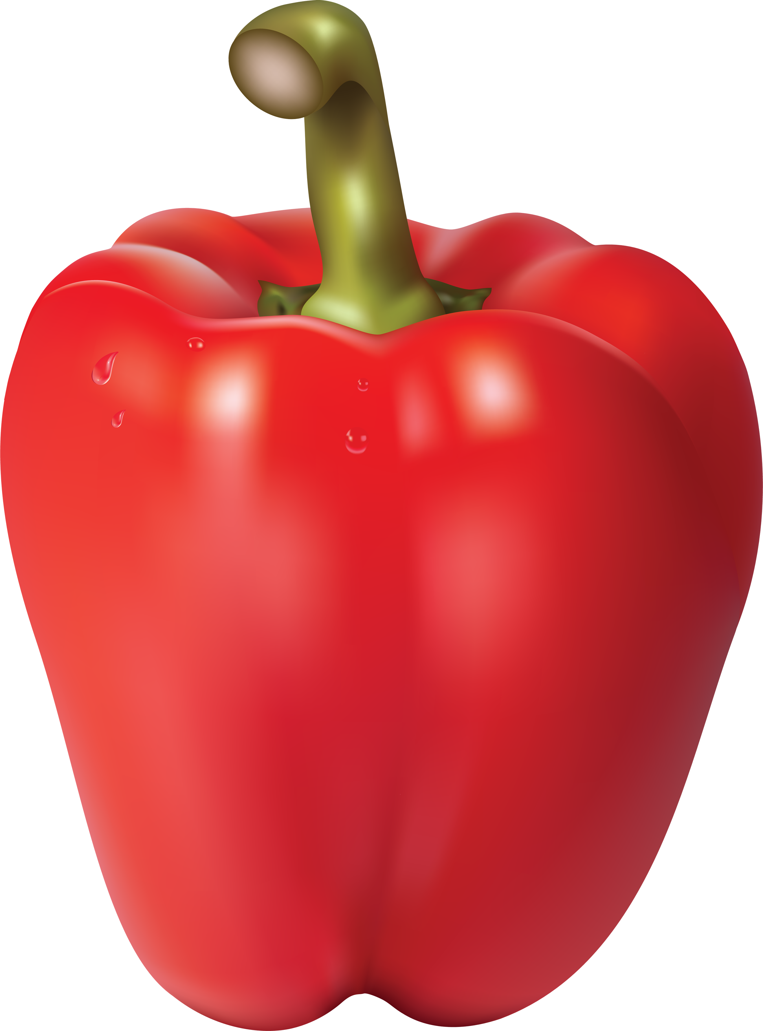 Pepper Png Image - Red Pepper No Background (2636x3560)