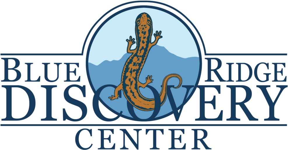 Elvis Gold (vinyl Record) (1000x545)