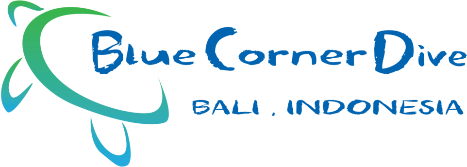 Blue Corner Dive - Blue Corner Dive (1000x347)
