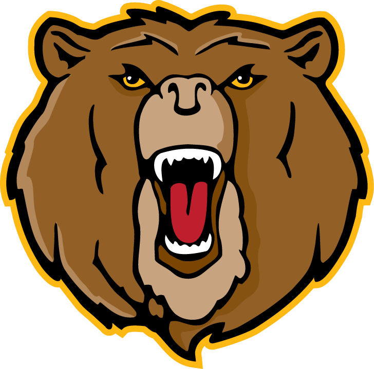 Bears Fundraising Art Ideas - Bears Fundraising Art Ideas (728x719)