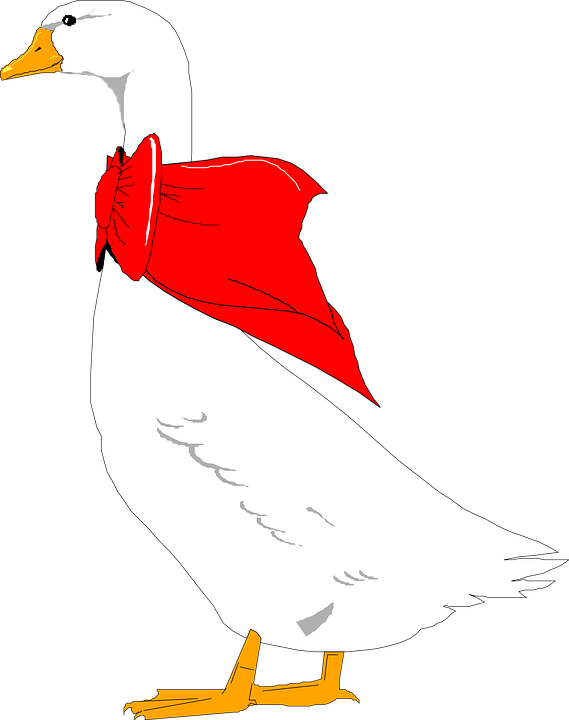 Goose Cliparts 24, Buy Clip Art - Goose (569x720)