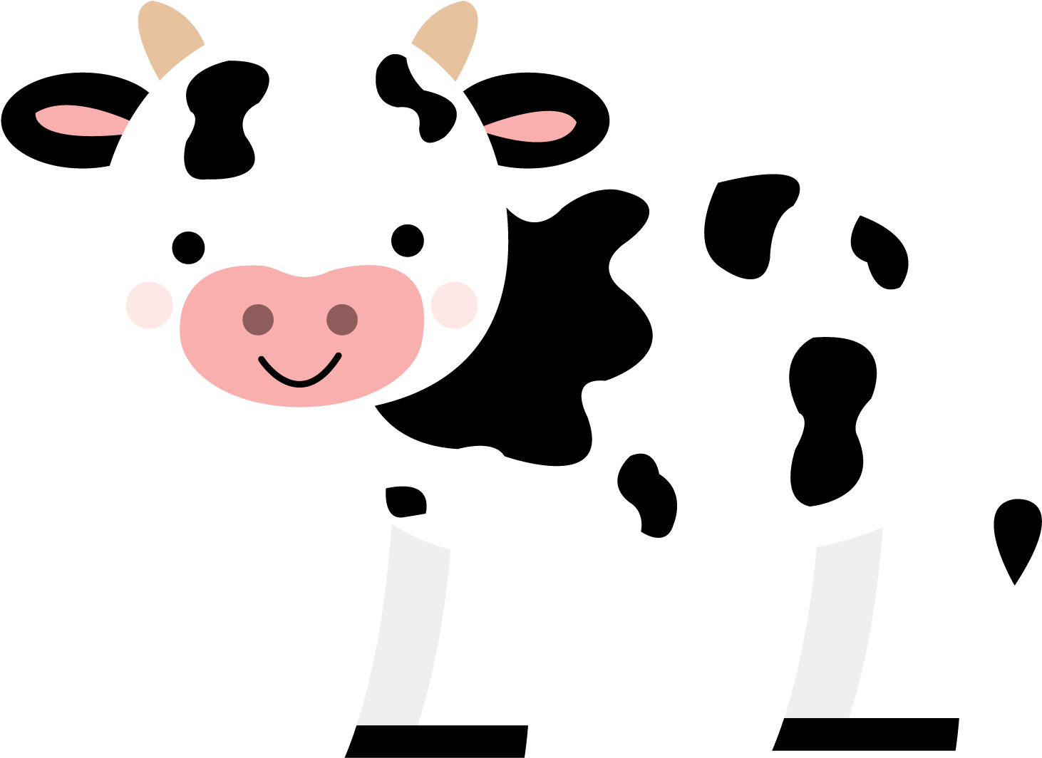 Photo By @daniellemoraesfalcao - Very Busy Spider Sequencing (1500x1500)