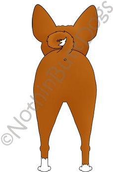 Big Nose Basenji Light Colored T-shirts - Basenji (300x400)