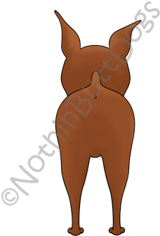 Big Nose Miniature Pinscher Dark Colored T-shirts - Black Russian Terrier (300x400)