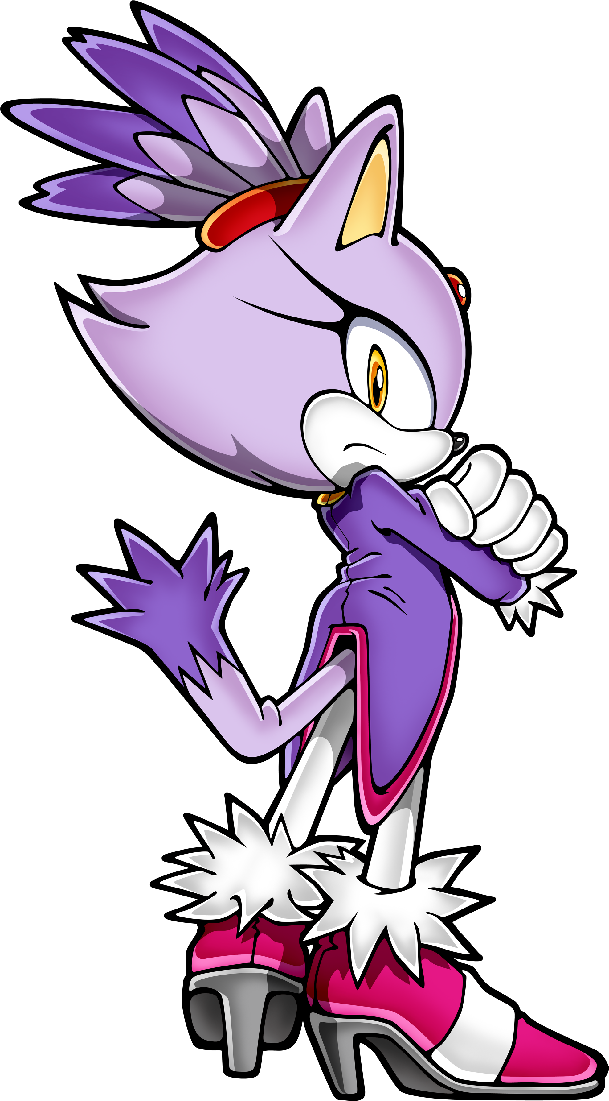 Blaze The Cat - Sonic Rush Adventure Blaze (2412x3790)