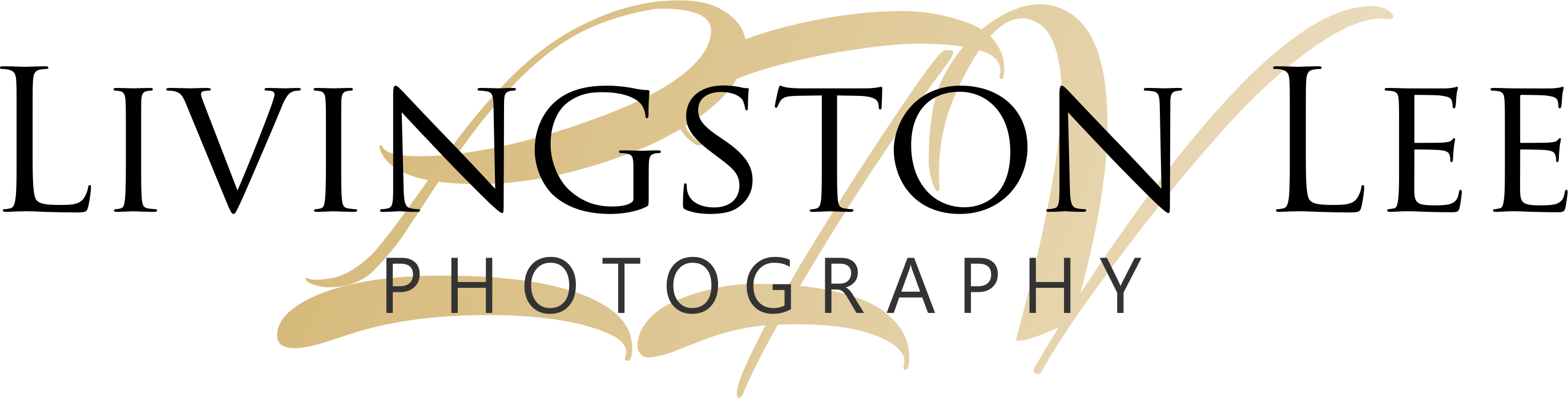 Livingston Lee Wedding Photography - Bill And Melinda Gates Foundation (2747x697)