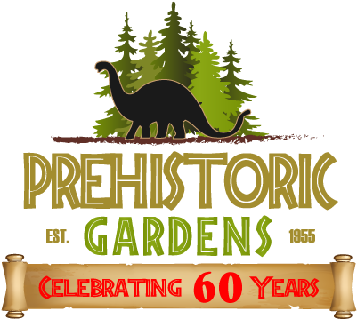 Pg 60 Years Scroll Outline - Prehistoric Gardens (500x450)