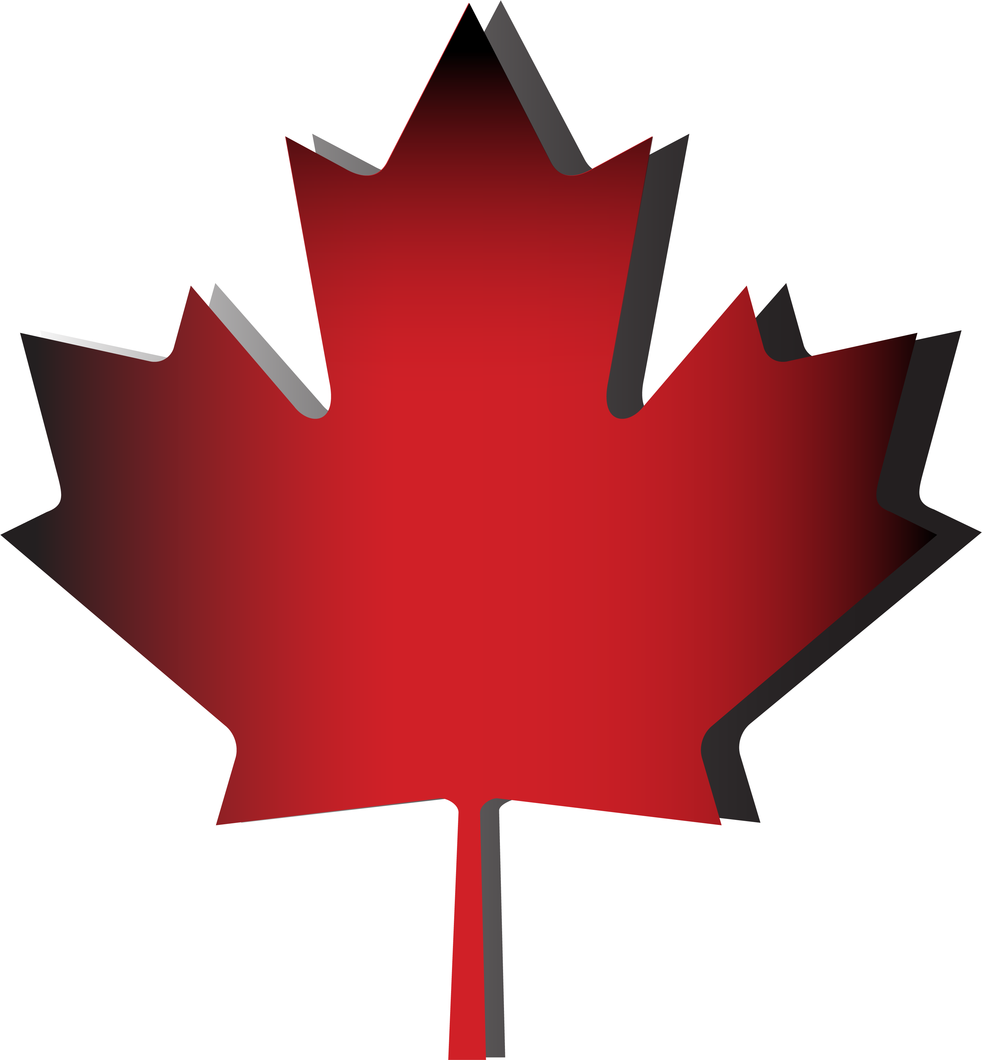 100% Canadian Owned - Canada Maple Leaf Png (3264x3520)