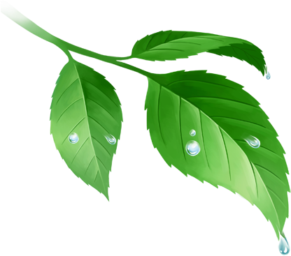 ขอบคุณเพื่อนๆ ทุกท่าน - ใบไม้ การ์ตูน น่า รัก ๆ (446x390)