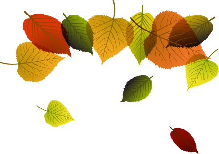 ภาพที่ 3 มีขนาดกว้าง - ใบไม้ เนย สี ฟ้า (451x318)