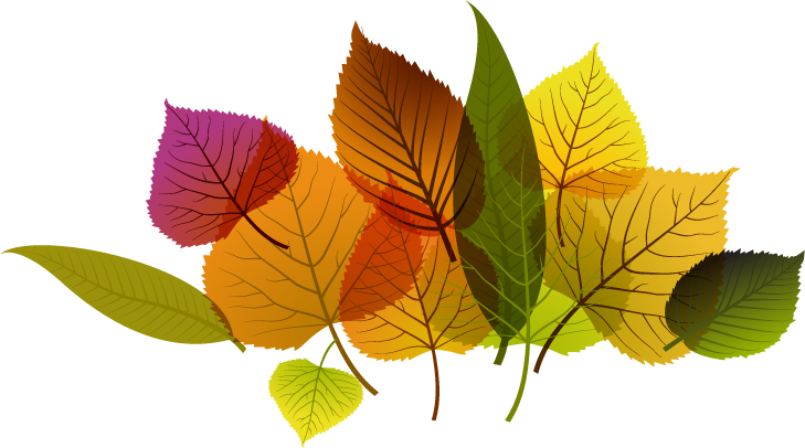 ภาพที่ 3 มีขนาดกว้าง - Writing System (729x406)