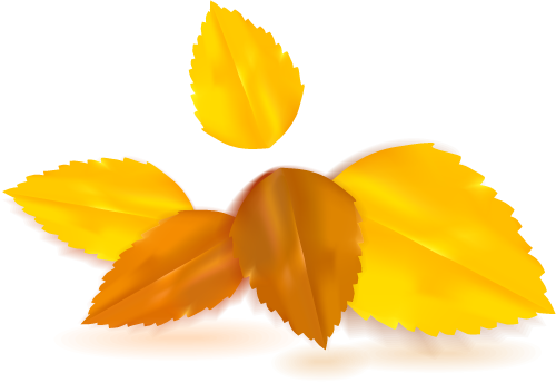 เผื่อเพื่อนๆ อยากได้สีที่โทนเดียวกัน - กรอบ ดอกไม้ สี เหลือง (500x344)