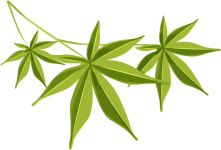 ขอบคุณเพื่อนๆ ทุกท่าน - ใบไม้ Png การ์ตูน (442x300)