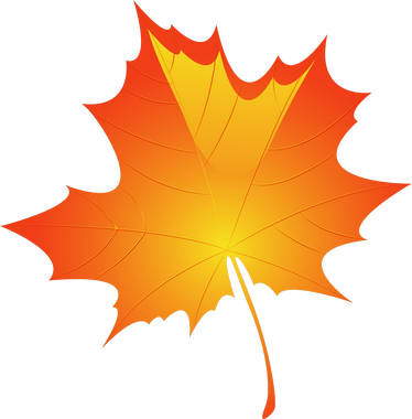ขอบคุณเพื่อนๆ ทุกท่าน - Maple Leaf Rectangle Magnet (374x380)
