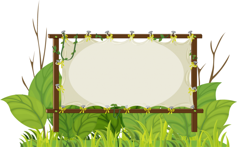 Animal Wall Mural- Frame Fun (1024x653)