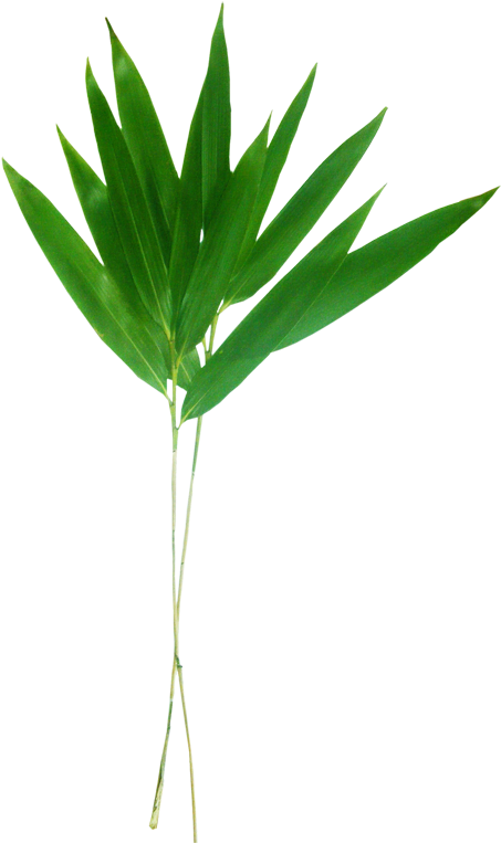 ขอบคุณเพื่อนๆ ทุกท่าน - ใบไม้ เนย สี ฟ้า (500x769)