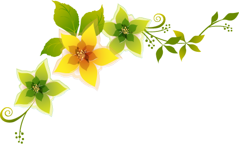 ขอบคุณเพื่อนๆ ทุกท่าน - มุม ดอกไม้ Png (480x289)