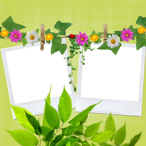 ขอบคุณเพื่อนๆ ทุกท่าน - หา ที่พัก หัวหิน แบบ ให้ สุนัข เข้า พัก ได้ ด้วย (500x500)