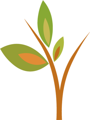 ขอบคุณเพื่อนๆ ทุกท่าน - Tree (301x400)