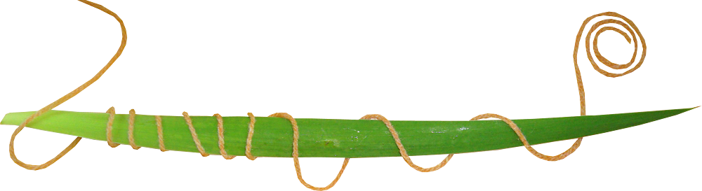 ขอบคุณเพื่อนๆ ทุกท่าน - สํา ห รับ แต่ง (1000x273)