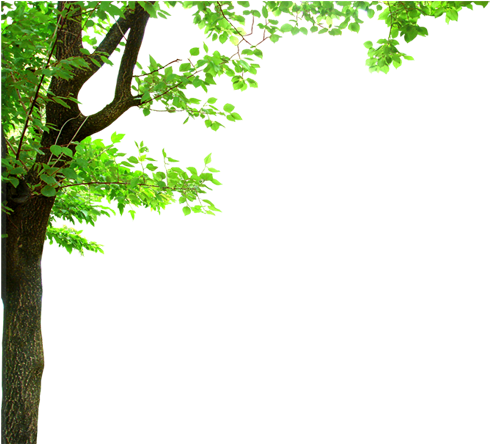 ขอบคุณเพื่อนๆ ทุกท่าน - Psalm 37 7 Kjv (500x443)