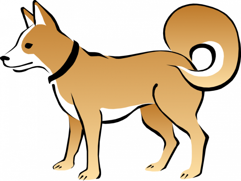Dog Clipart Images Top 50 Free Download Butterfly Dog - Anjing Vector (768x576)