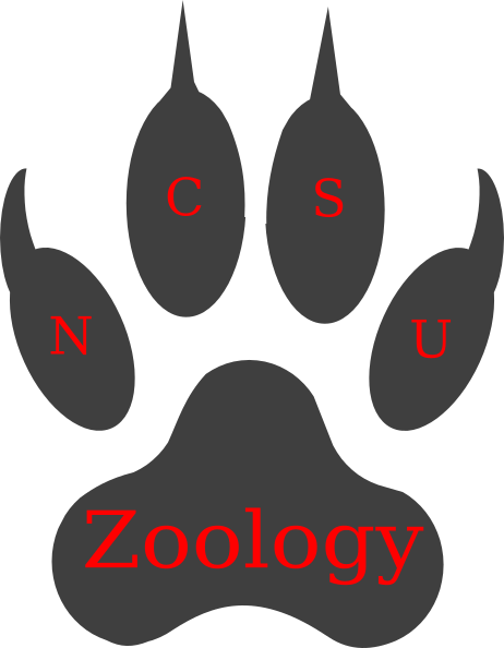 License Paw Print Clip Art At Clker - Lion Footprint (462x594)