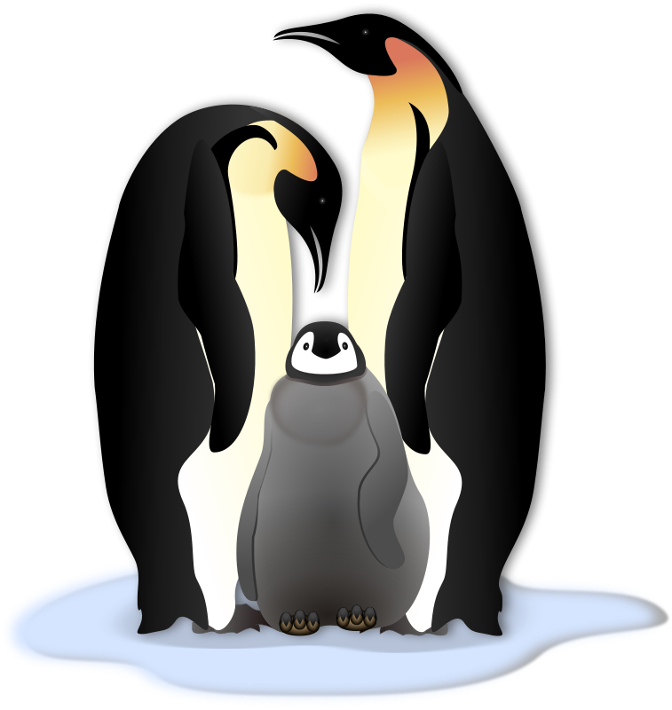 Similar Clip Art - Penguin Family Throw Blanket (757x800)