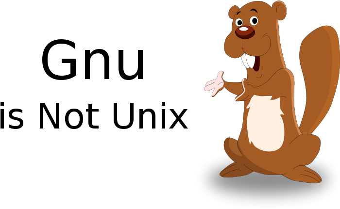 Similar Clip Art - Custom Cartoon Squirrel Shower Curtain (800x566)