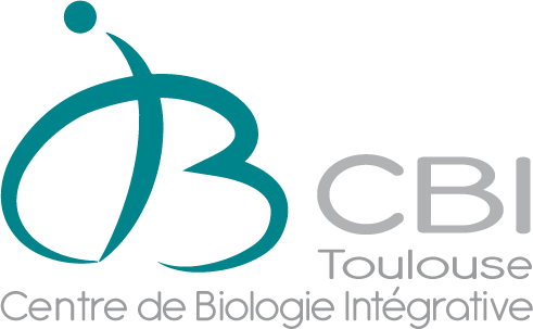 Recruitment Programme In - Logo Cbi Toulouse (491x303)