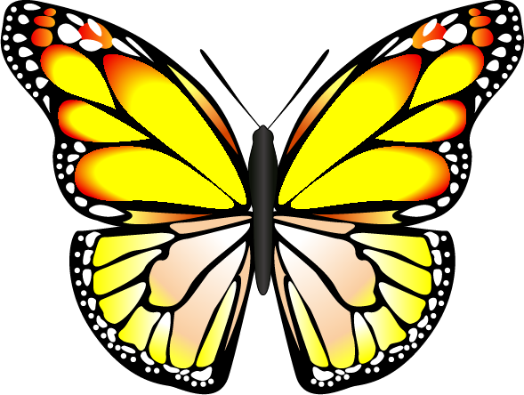 Butterfly - Maryanddolls Pretty Wooden Butterfly Hair Clip, Pink (589x444)