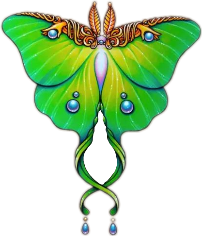 Butterfly Green Jewel Beautiful Beauty - Luna Moth Body Drawing (417x486)