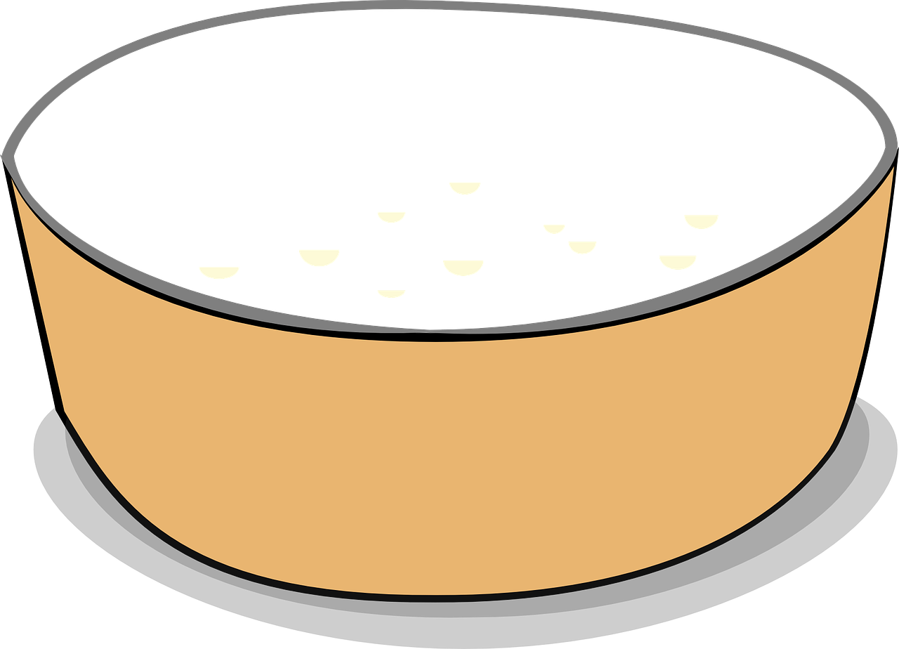 Feed Bowl - Cereal Bowl Clipart (1280x924)