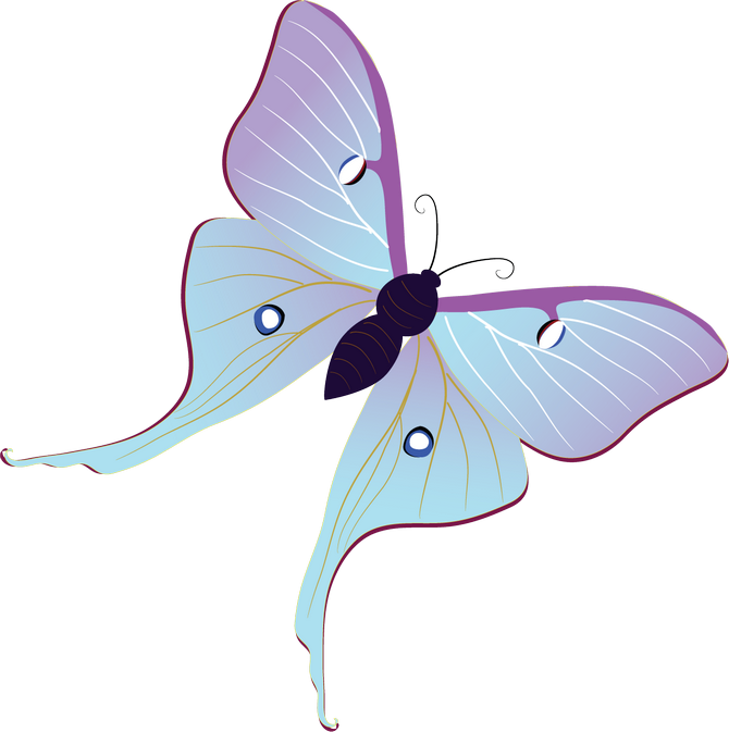 ~*♧️butterflies Clipart*~ - Butterfly Vector Free (670x673)