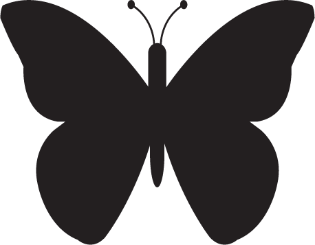 Step - Butterflies And Moths (458x357)