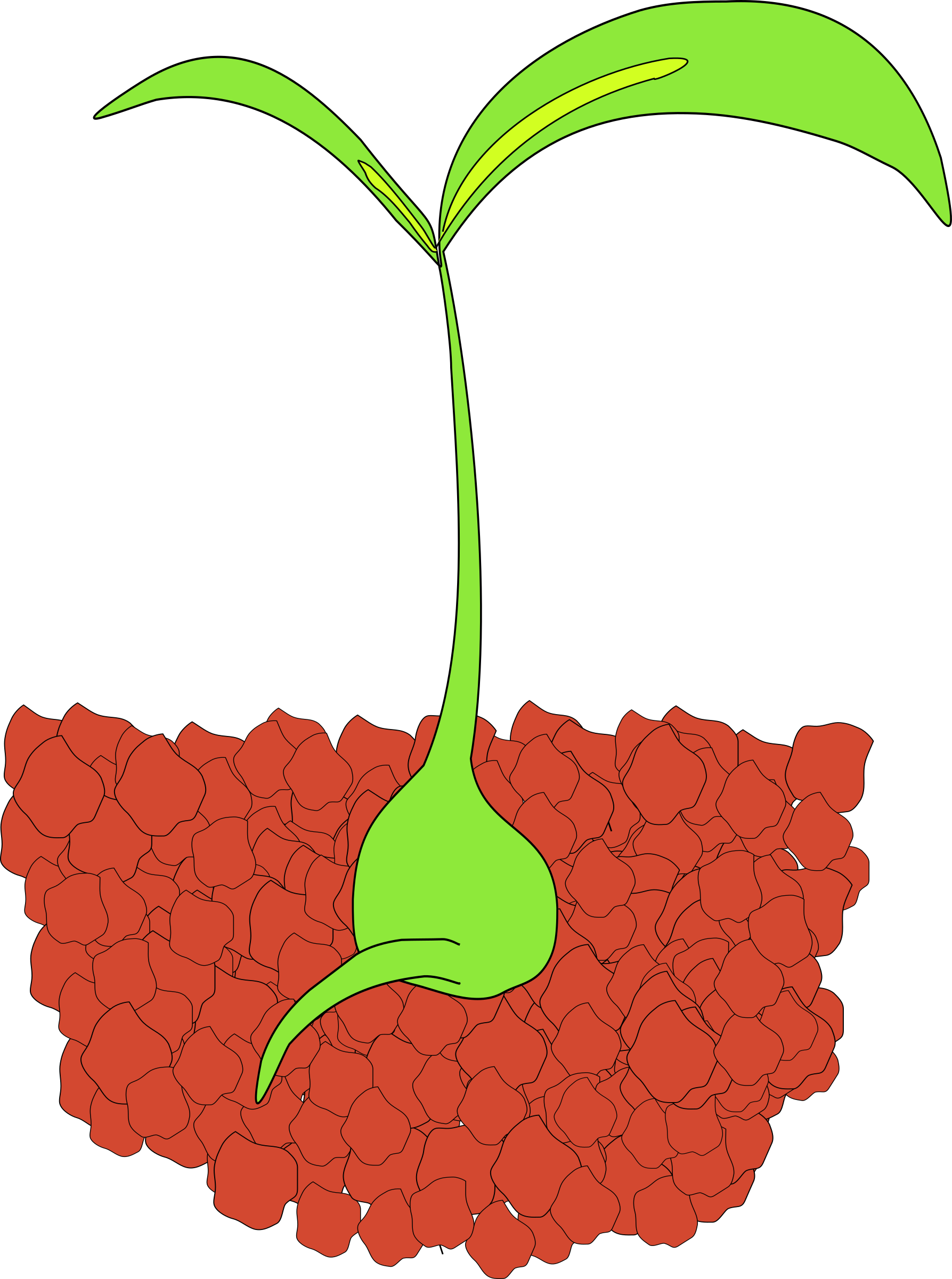 Why School Biology Textbooks Need To Redraw The Plant - Seedlings Clipart (1787x2400)
