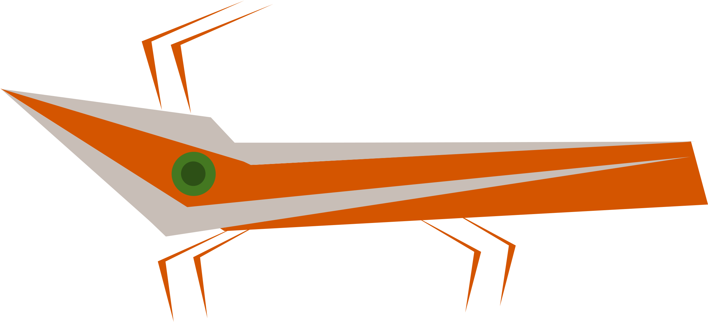 Crambus Moth - Crambus (2400x1091)