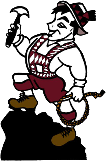 Girls Basketball Team Are Regional Champs - Platteville High School (500x721)