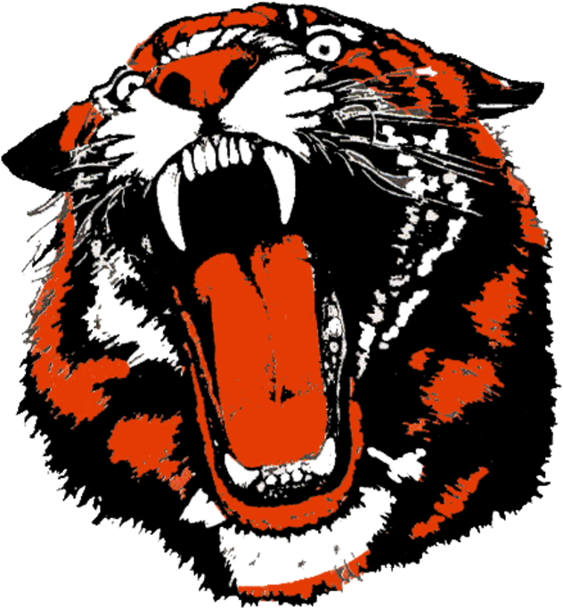 V - Bengal Tiger (720x780)