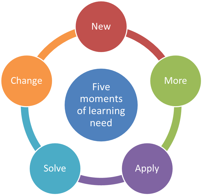 Sources of international law. International human rights law. Company law презентация. Areas of law. The rule of law фото.