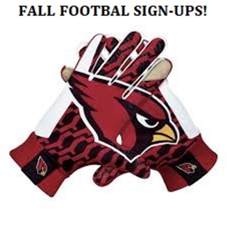 Baseball - Nfl Arizona Cardinals Metal Ice Bucket (472x325)