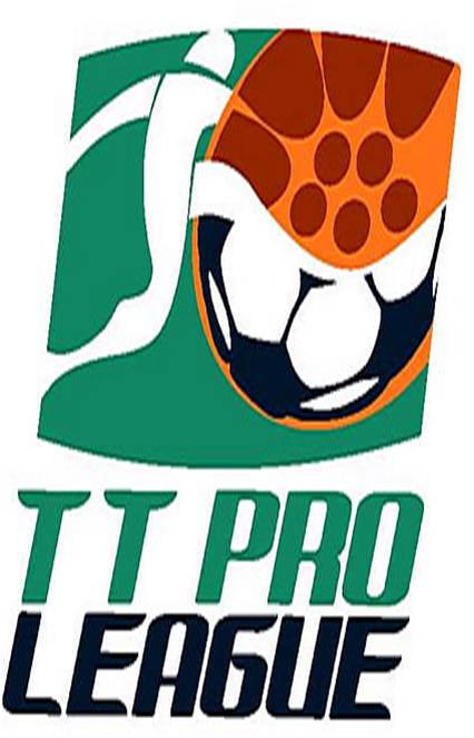 History Clip Art Professional - Tt Pro League Logo Png (476x688)