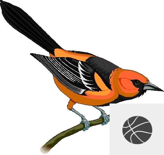 Rocky Grove High School Varsity Girls Basketball Schedule - Maryland State Bird (551x521)