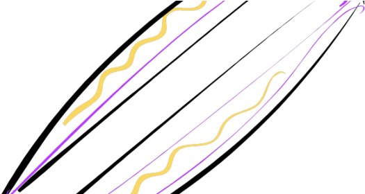 Stand-up Paddle Boarding - Stand-up Paddle Boarding (537x279)