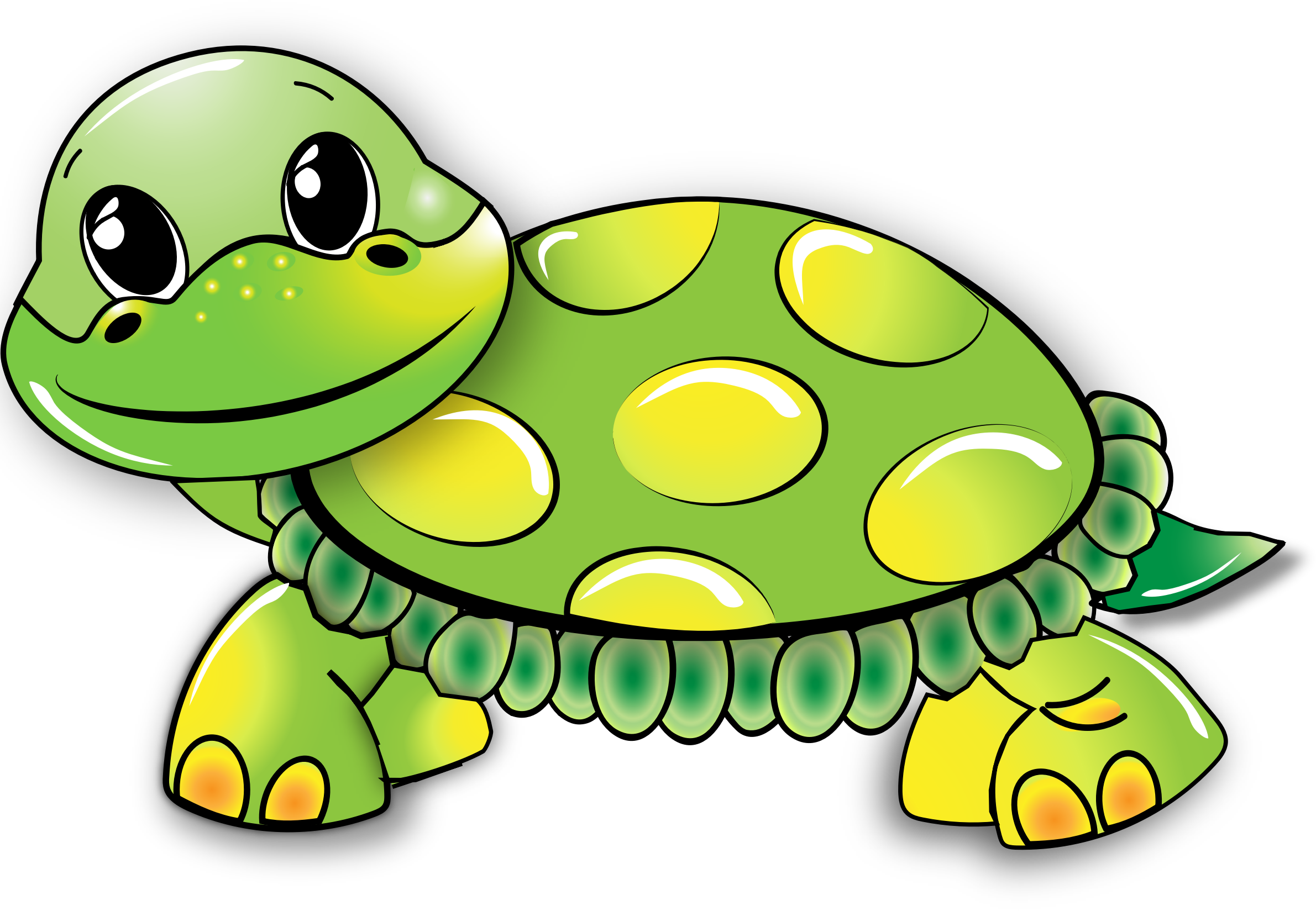 Cartoon Picture Of A Turtle - Turtle In Cartoon (2381x1649)