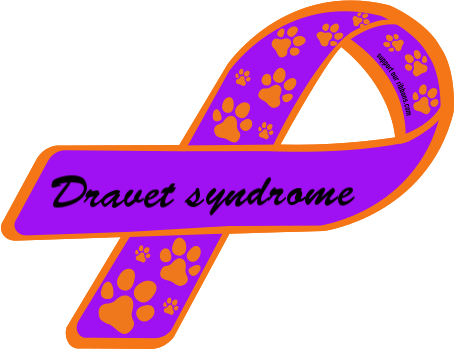 Dravet Syndrome Market Highlights - Habitat For Humanity Banner (455x350)