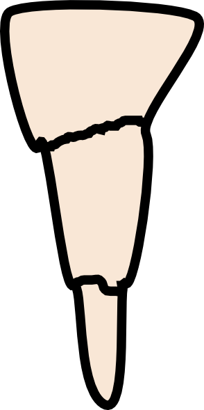 Stalactites And Stalagmites Clipart (294x589)