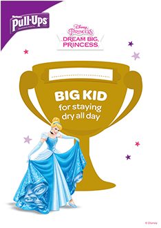 Certificate - 迪士尼公主系列 可愛拼圖(l) (384x366)