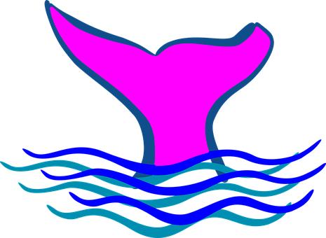 Fin Whale Ocean Sea Life Diving Mermaid Fi - Tails Clipart (465x340)